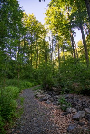 bad_harzburg(c)Wanderungen KW27_28.jpg