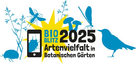1 Bioblitz-Logo-04-groß_weiß.png