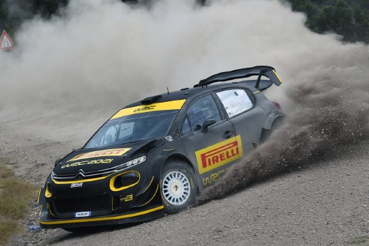 2-Pirelli_WRC_2021.jpg