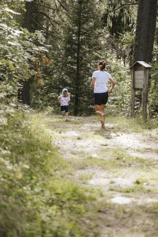 Walderlebnispfad Aschbach_TV Algund-Armin Terzer (26).jpg