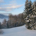 Winter Alpsee Schnee VIII.jpg