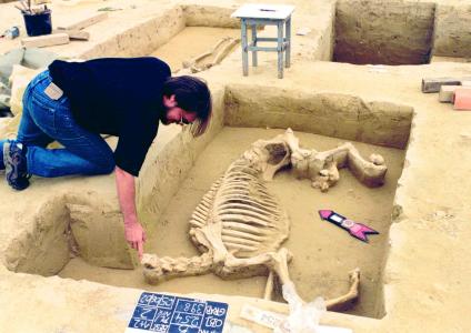Die Region rund um das niederbayerische Landshut ist eine besonders reichhaltige Fundgrube für Archäologen auf ihrer Suche nach spektakulären Spuren der Erdgeschichte. Dort wo die Profis seit Jahren nach solchen Schätzen suchen, dürfen Freizeit-Forscher jetzt unter Anleitung selbst mit Grabungswerkzeugen auf die Reise in Europas Vergangenheit gehen. Foto: obx-news
