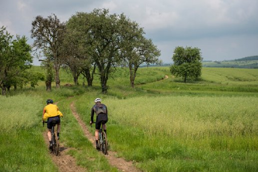 Saarland_0198_Saargau-Runde-700x467.jpg