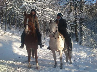 Der Swiss Galoppers im Wintereinsatz bei Margit Schönenberg vom HufschuhMobil.
