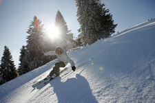 Schwarzwald Skifahrer Alpin 