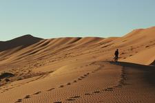 bfs / Karawane Reisen