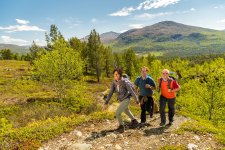 Wer im Hochsommer wandern möchte, kommt im Norden (Foto Schweden) auf seine Kosten