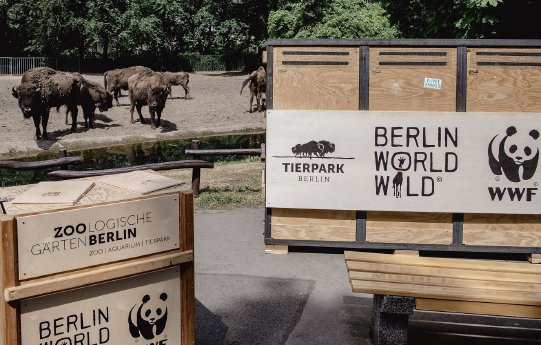 Transportbox_TierparkBerlin.jpg