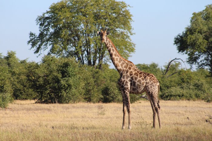 IMG_7400 (c) Juliane Link, Karawane (2).JPG