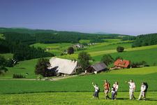 Titisee Neustadt - Wandern bei Waldau
