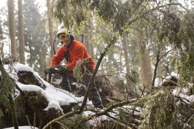 Sturmtief Eberhardt - Landesforsten warnen vor Betreten der Wälder