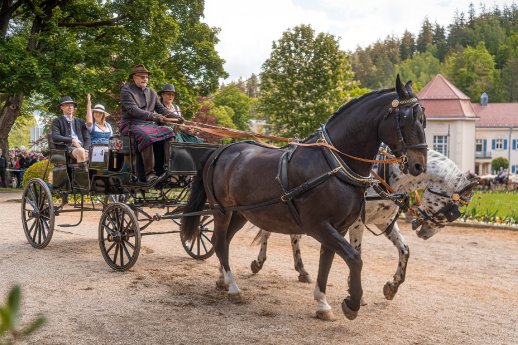 EQUIPAGE2024©ChristianZehn.jpg