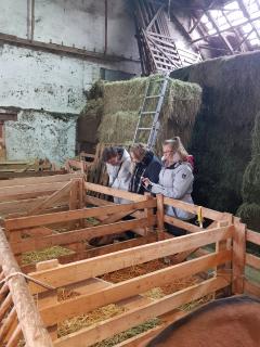 Auszubildende des Hotels Elbresidenz im Stall des Ziegenhofs Lauterbach / Foto: Daniel Hegenbart
