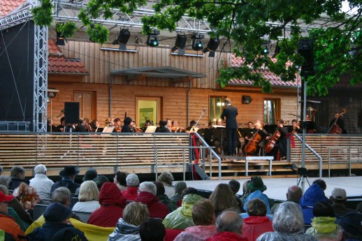 Hohne-Konzert2011bK_IngridNörenberg.jpg