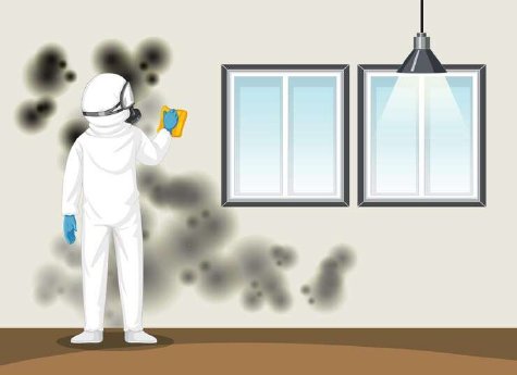 man-protective-hazmat-suit-cleaning-mold-wall_1308-110992-1.jpg