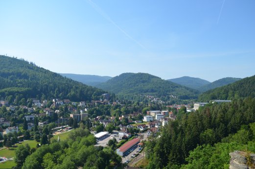 Blick vom Falkensteinfelsen © Rick Eichner.JPG