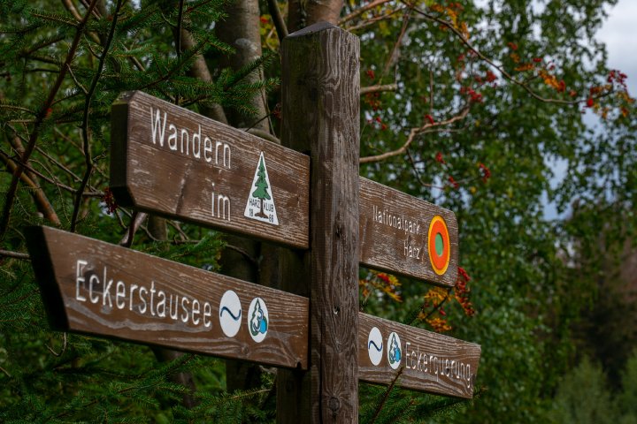 Ist der Bärlauch schon da?