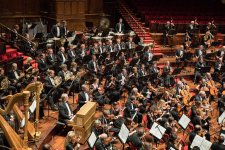 WDO Concertgebouw Amsterdam 2022 / © Christoph Müller