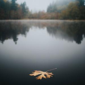 Symbolfoto