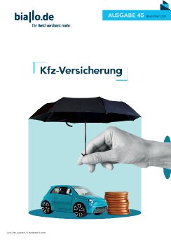 2024_45-kfz-versicherung.pdf