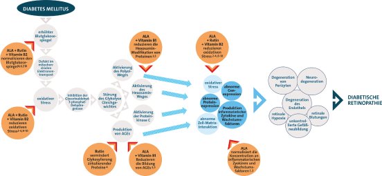 Grafik 1_Ansatzpunkte für Mikronährstoffe in der komplexen Pathogenese der DR.jpg