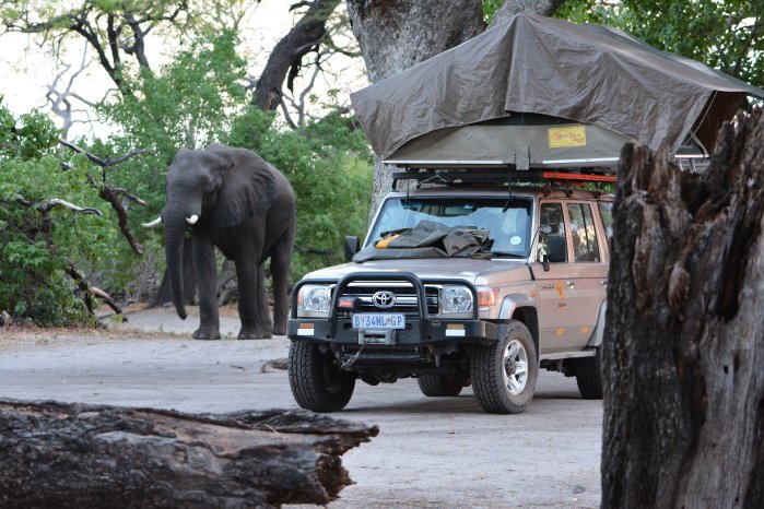 Botswana_Camp_Elefant_und_Auto_BFS_KarawaneReisen_Felix_Faigle.jpg