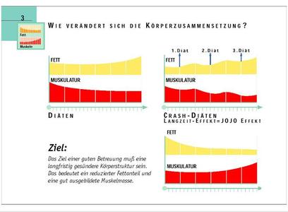 Entwicklungen der Körperzusammensetzung