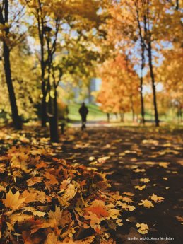 Herbstlaub.jpg