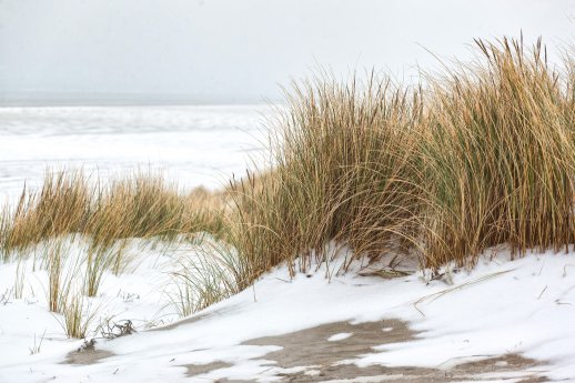 Winter auf Juist (1).jpg