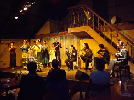 Flamenco-Fiesta, Foto-MOYA.JPG
