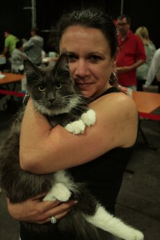 hundundkatze Niederrhein in Kalkar 2.JPG