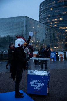 Dont-Chicken-out-Strasbourg-Aktion-01277.jpg