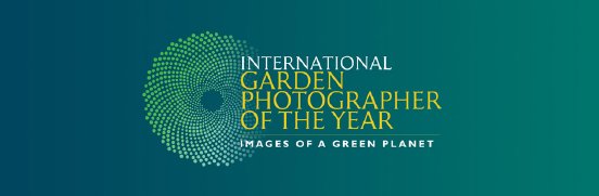 IGPOTY logo.jpg