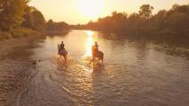 Sommer mit Pferd: Mit 5 einfachen Tipps gut durch die Hitze