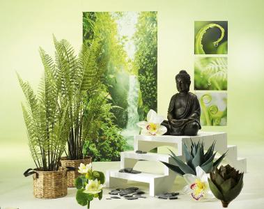 Wellness+Kosmetik