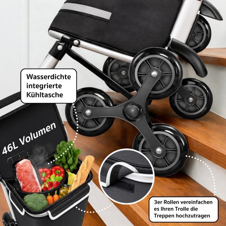 CX-2813_11_Treppensteiger-Einkaufstrolley.jpg
