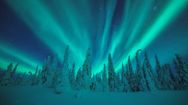 Harriniva Hotels & Safaris Northern Lights  ©Harriniva Hotels & Safaris.jpg