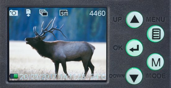 NX-4482_14_VisorTech_Full-HD-Wildkamera_m._Bewegungssensor_WK-585_Nachtsicht.jpg