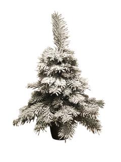 Mini-Weihnachtsbaum mit Schnee.png