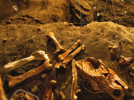 Grotta dell'Orso, Monte Generoso-Mendrisiotto Turismo.jpg