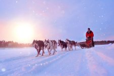 Finnland: Polarlichter und Huskysafari