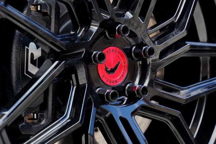 Barracuda_Dragoon_Golf_R_11.JPG