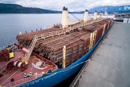 Das vom Holzhandelsunternehmen Claus Rodenberg Holzkontor gecharterte Schiff bringt Fichtenholz