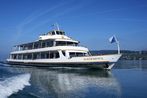 MS Wädenswil  - Low_zsg (2).jpg