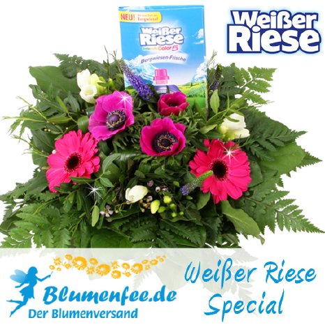Blumenfee_Weisser_Riese_Special_Bergwiesen_Frische_14_04.jpg