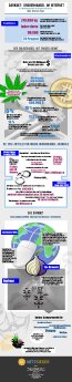Infografik_Darknet- Online Drogenhandel.jpeg