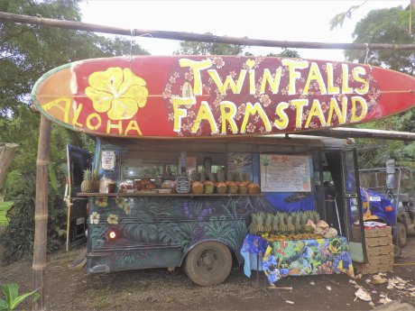 Maui_Twin Falls_ c_Anne_Beyer.jpg