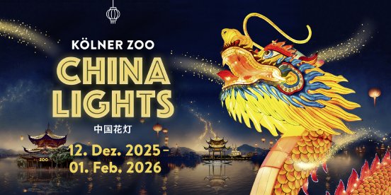 China Lights 2025_26.jpg