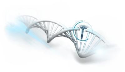 DNA repair