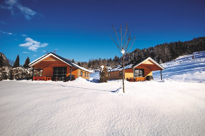 Alpen Chalets im Winter Allweglehen.jpg
